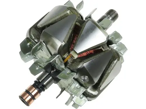 Rotor, alternator