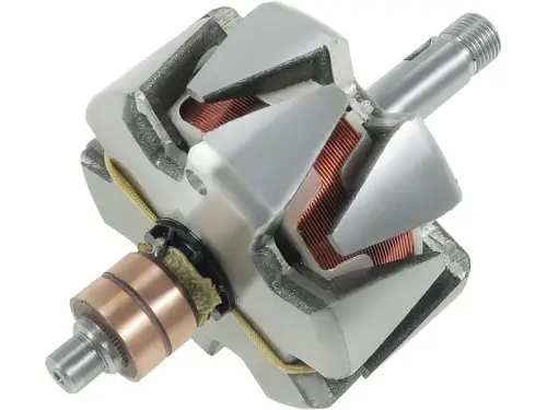 Rotor, alternator