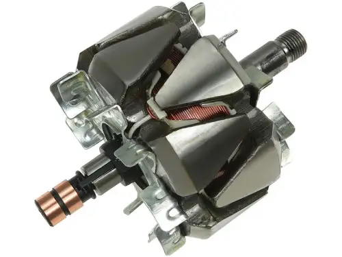 Rotor, alternator