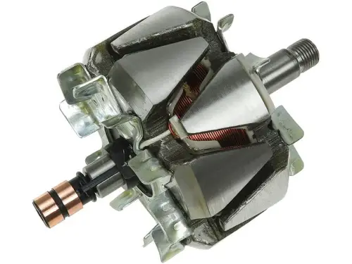 Rotor, alternator