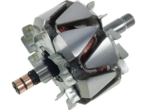 Rotor, alternator