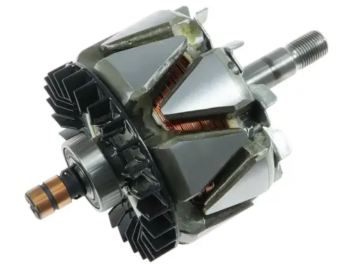Rotor, alternator
