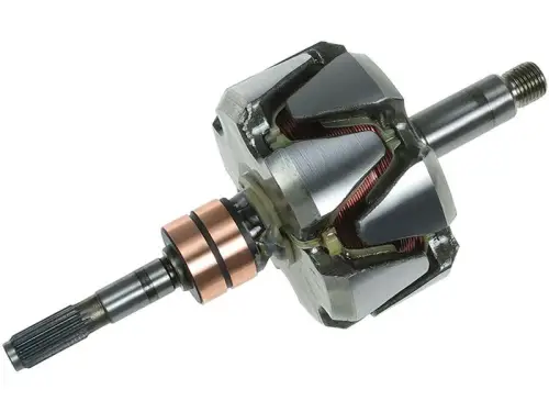 Rotor, alternator