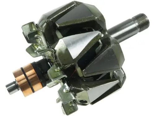 Rotor, alternator
