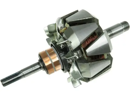 Rotor, alternator