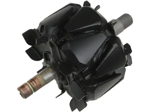 Rotor, alternator