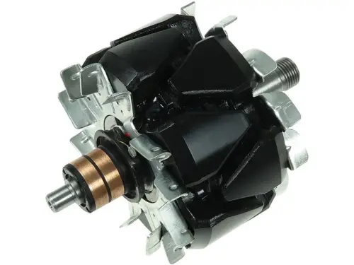 Rotor, alternator
