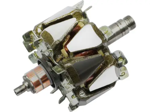 Rotor, alternator