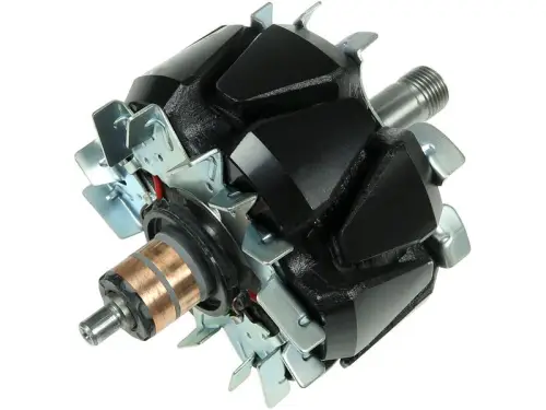 Rotor, alternator