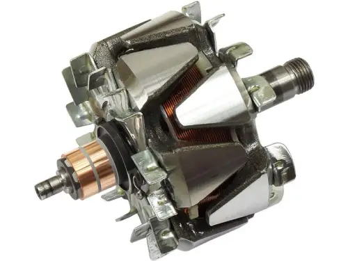 Rotor, alternator