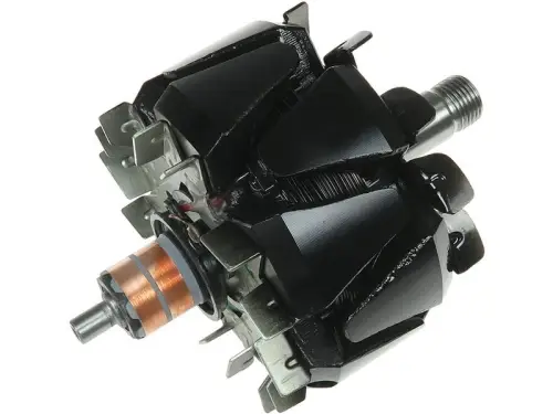 Rotor, alternator