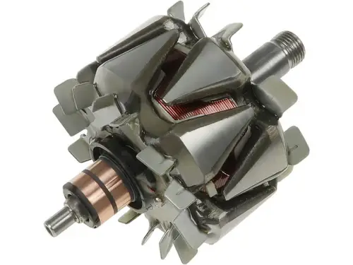 Rotor, alternator