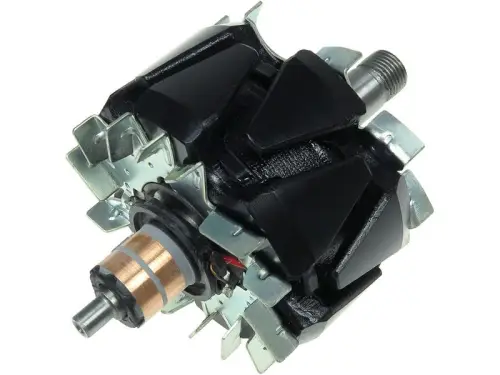 Rotor, alternator