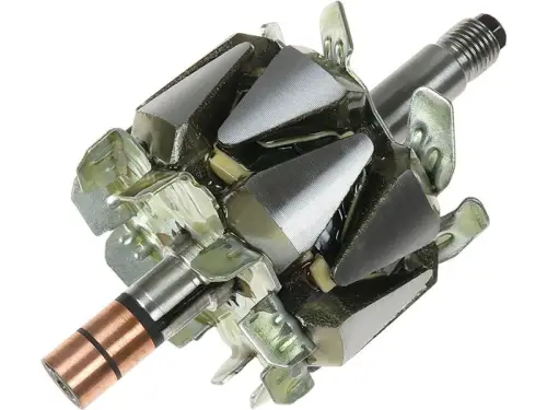 Rotor, alternator