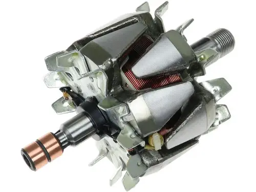Rotor, alternator