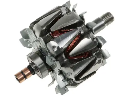Rotor, alternator