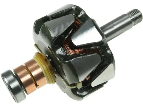 Rotor, alternator