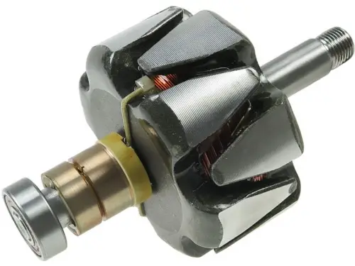 Rotor, alternator